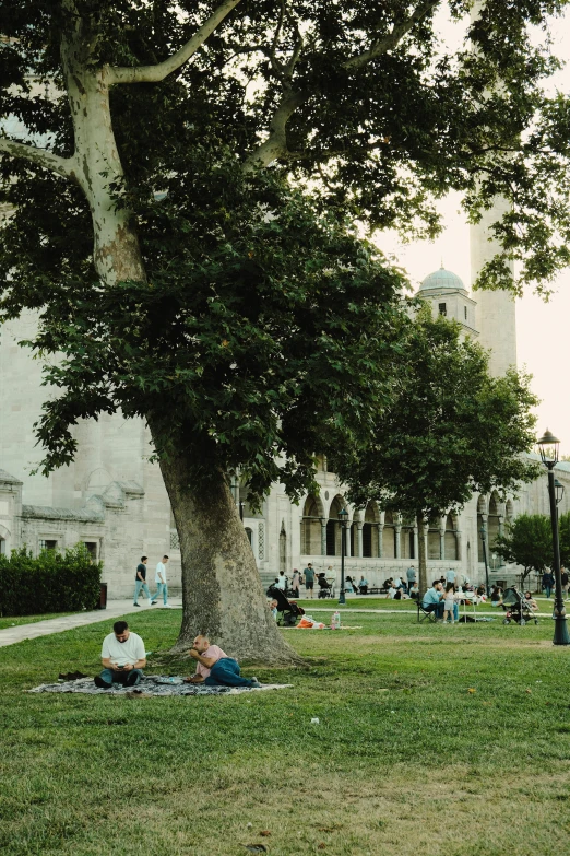 people laying under the shade of trees on the lawn