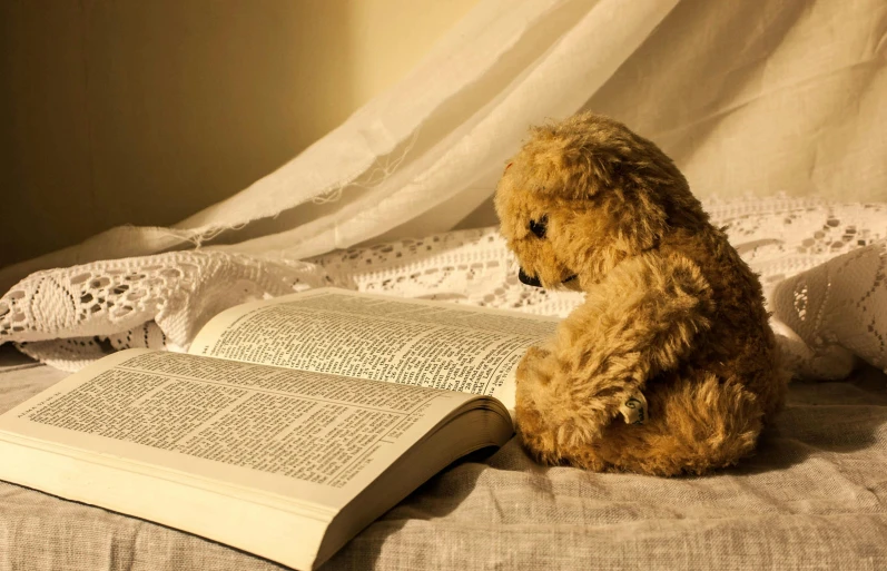 a teddy bear that is sitting next to an open book