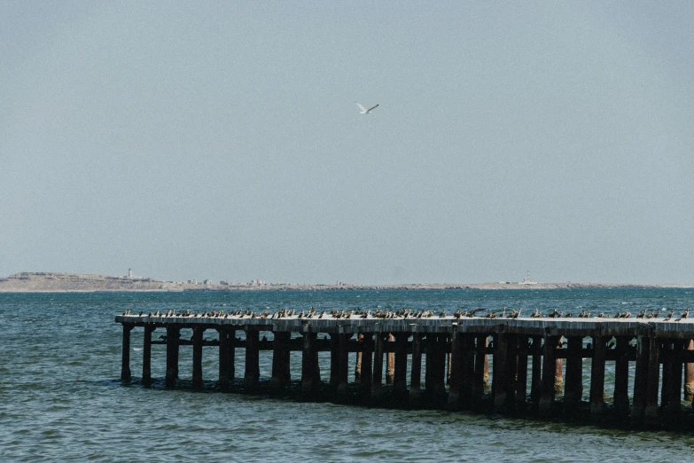 a bird is on the end of a large pier