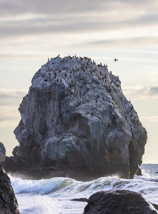 a large rock sitting on top of a beach next to the ocean