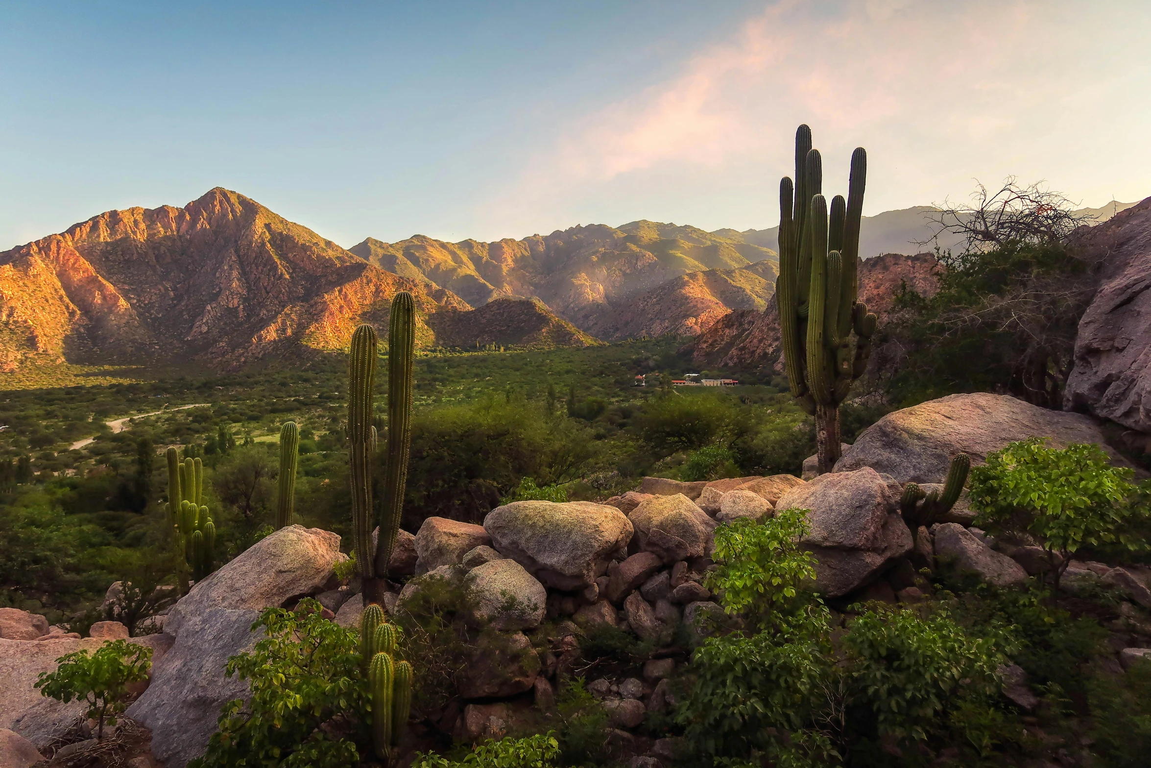 desert mountain scenery in arizona with cactus and cacti