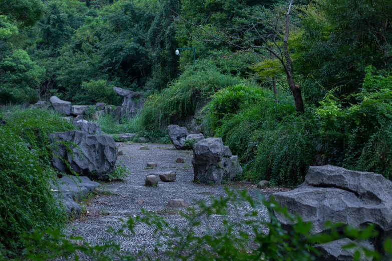 a rock garden with stones and a lot of trees