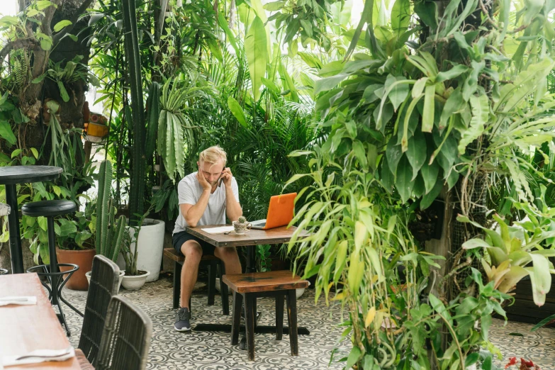 a woman sitting outside at an open laptop