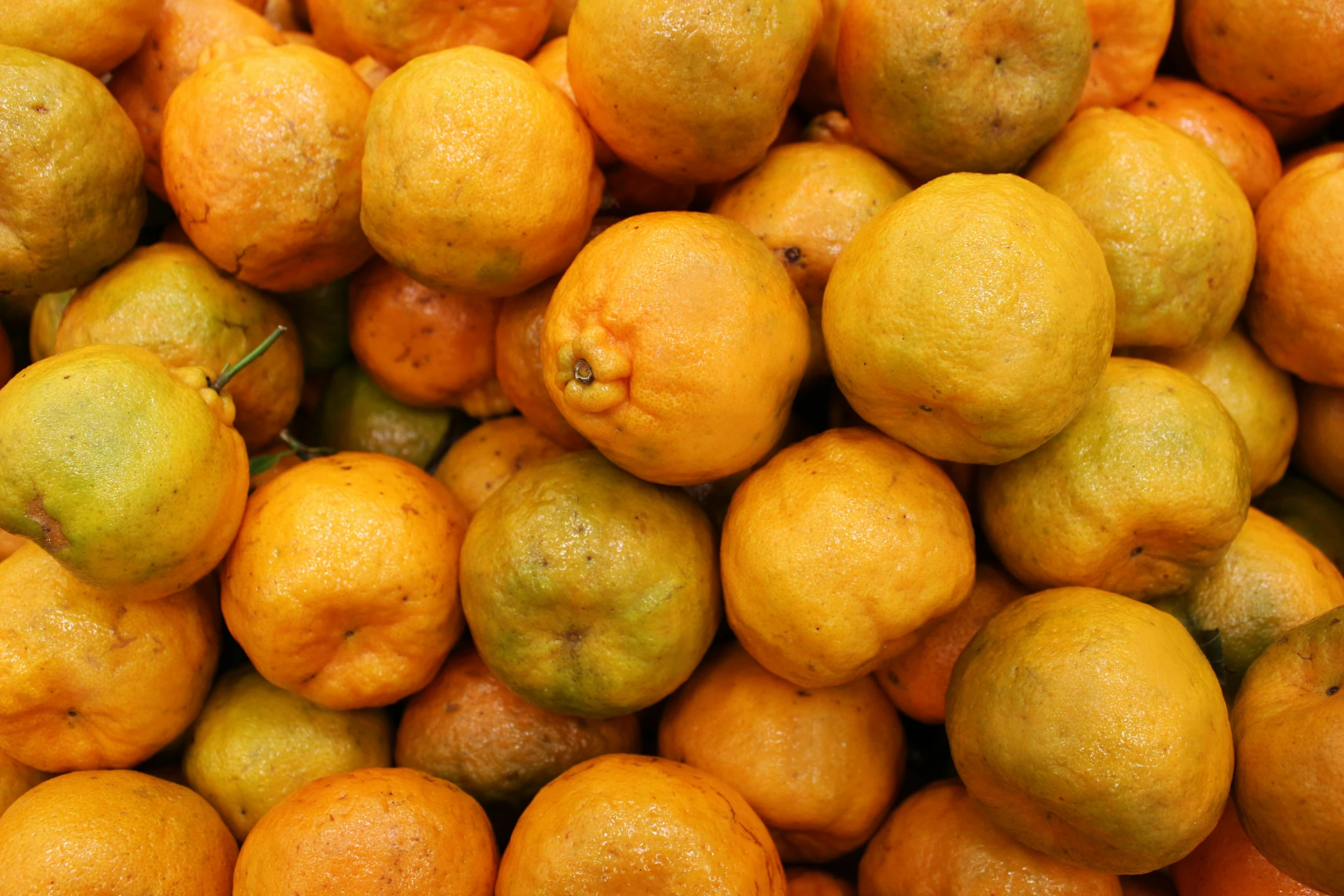 close up of a bunch of ripe oranges