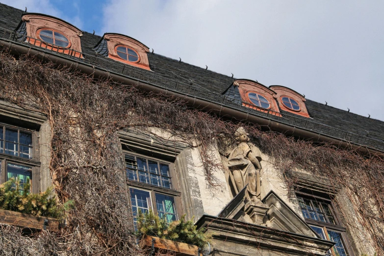 a stone building has vines growing all over it