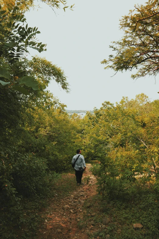 a hiker walking up a dirt path in the forest