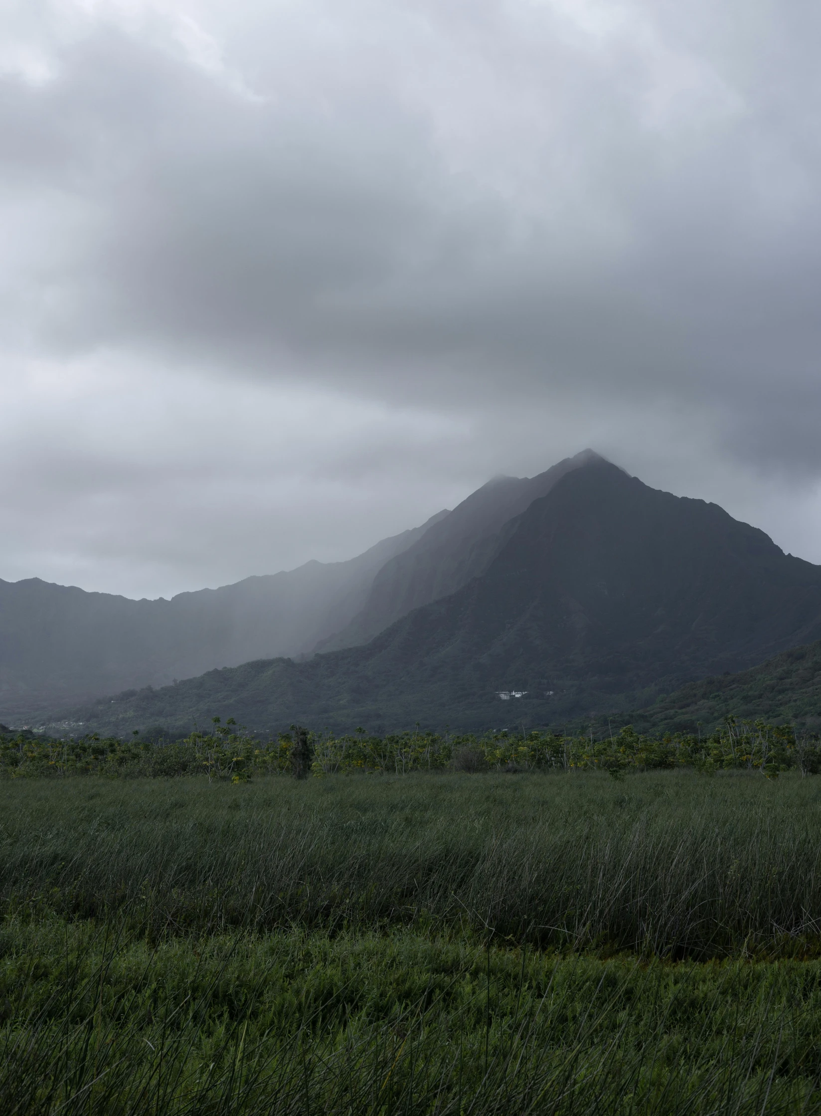 mountain covered with fog in the distance near grass