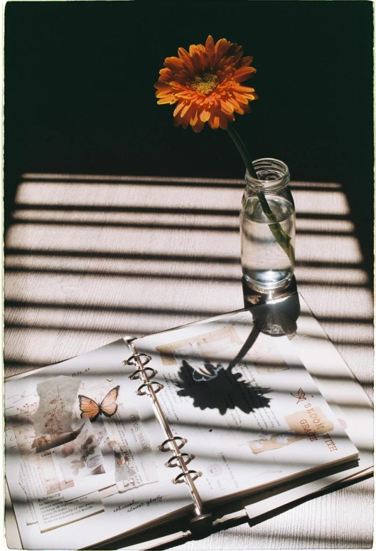 an open book, glass cup and orange flower sitting on top of it