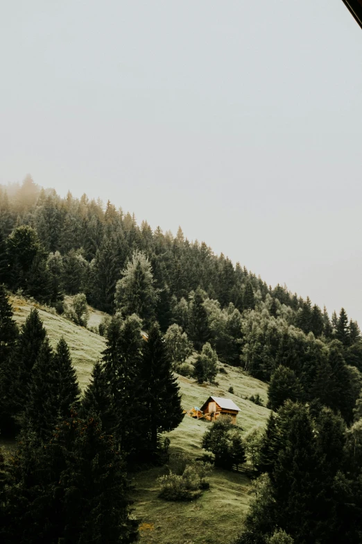 a barn in a wooded hill side area with trees