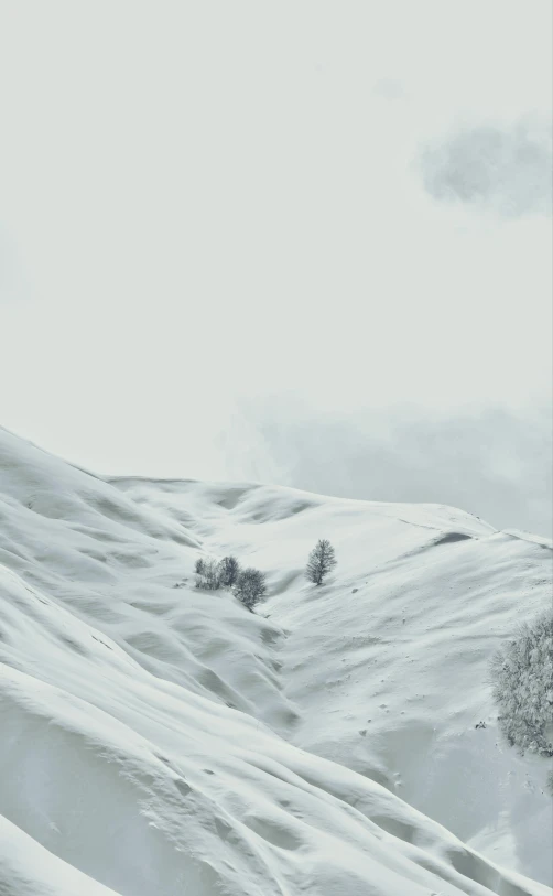 snow is covering the ground and trees on top of a mountain