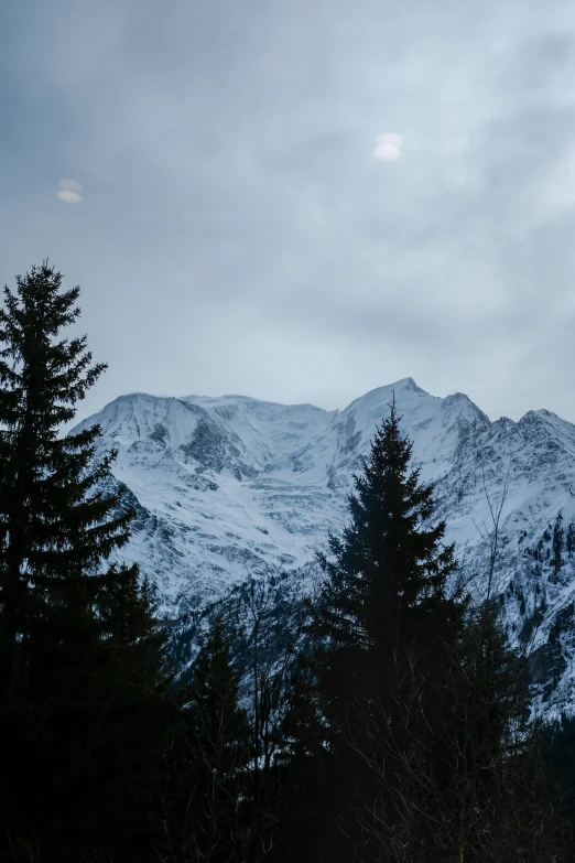 a snowy mountain with tall pine trees on both sides