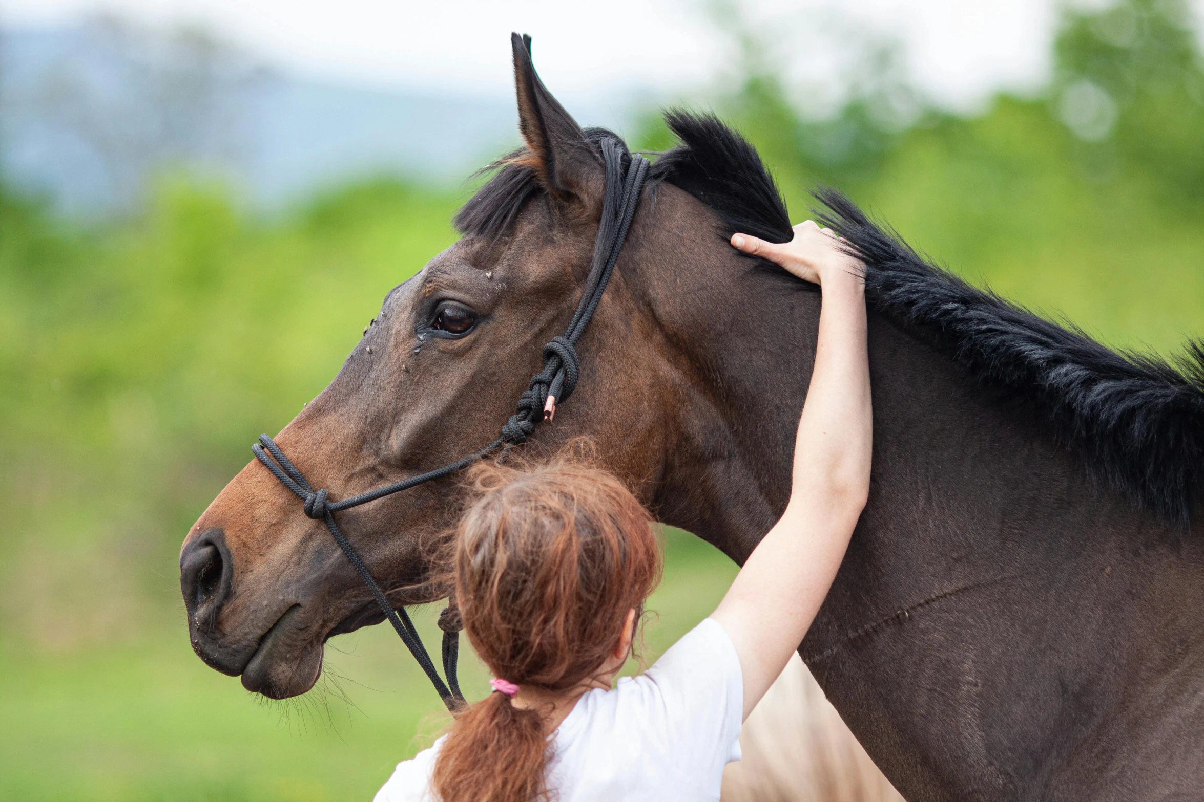 a girl is holding her horse by the bridle