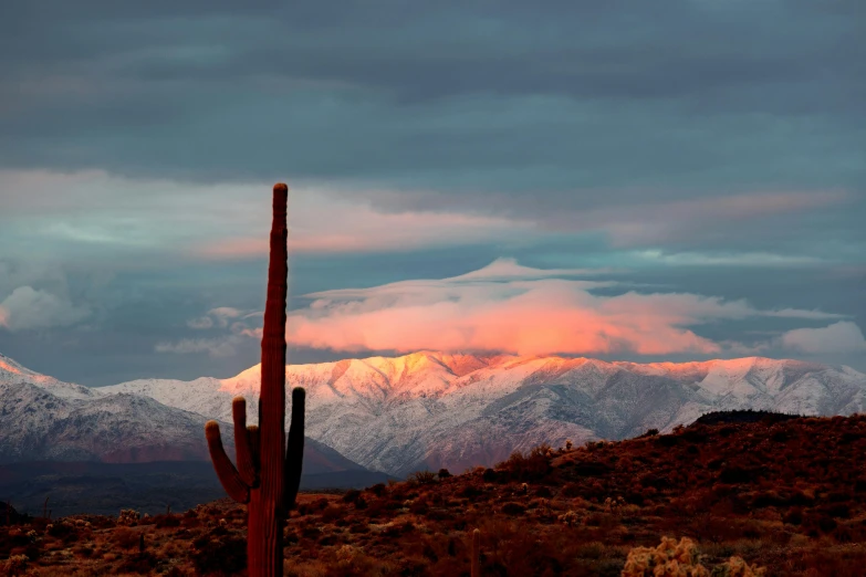 a sagua mountain sunset with the snow covered peaks visible