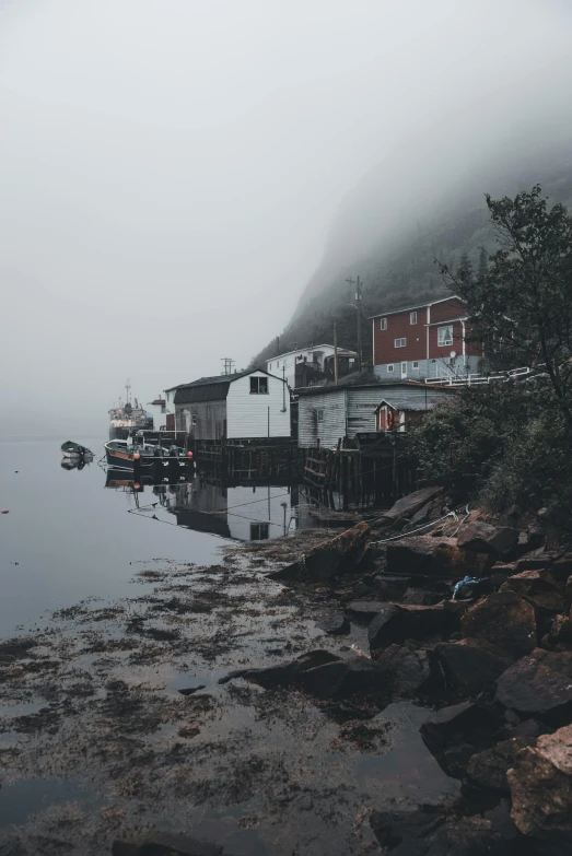 houses and boats are seen on a river