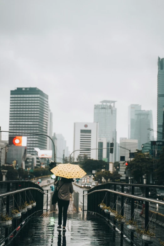 person walking down a rain soaked road holding an umbrella