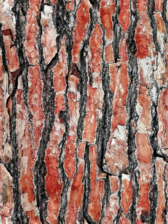 abstract pograph of granite stone in red and black