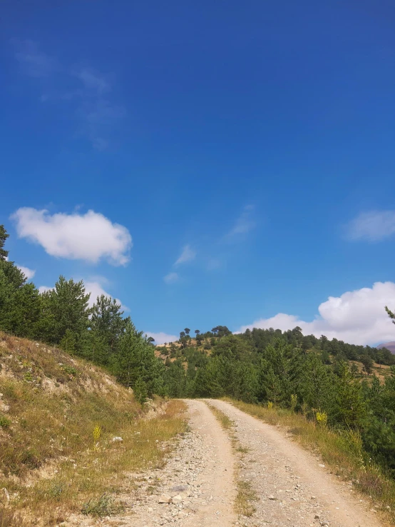 a dirt road with trees on top of it