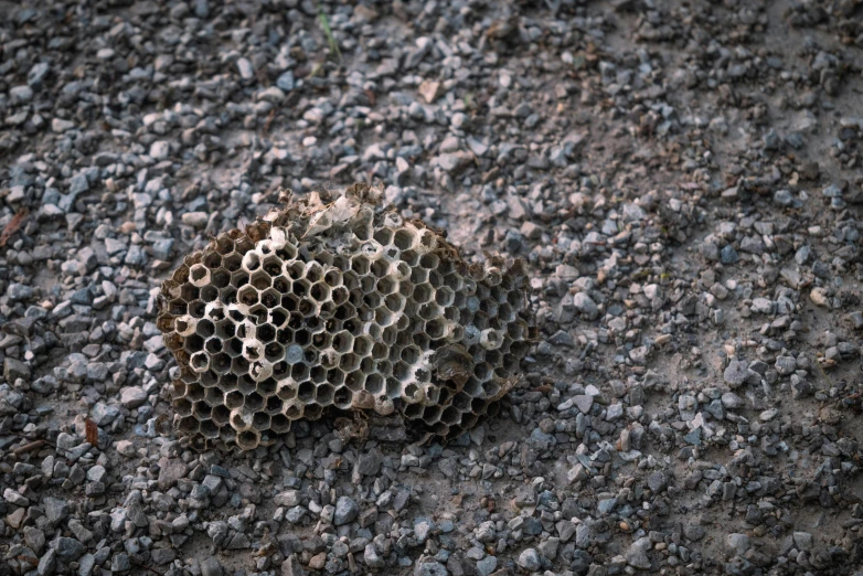 a cluster of rocks, arranged on the ground