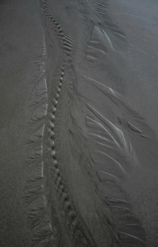 the imprint of an airplane on a beach is visible