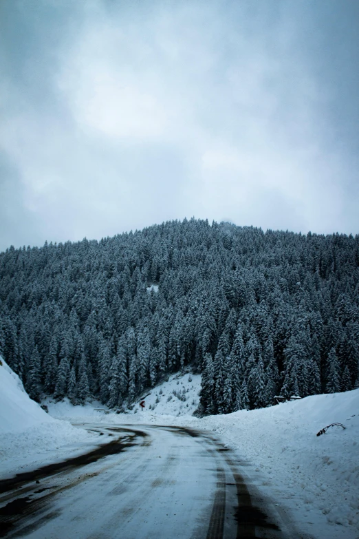 a road with snow on it going near a forest