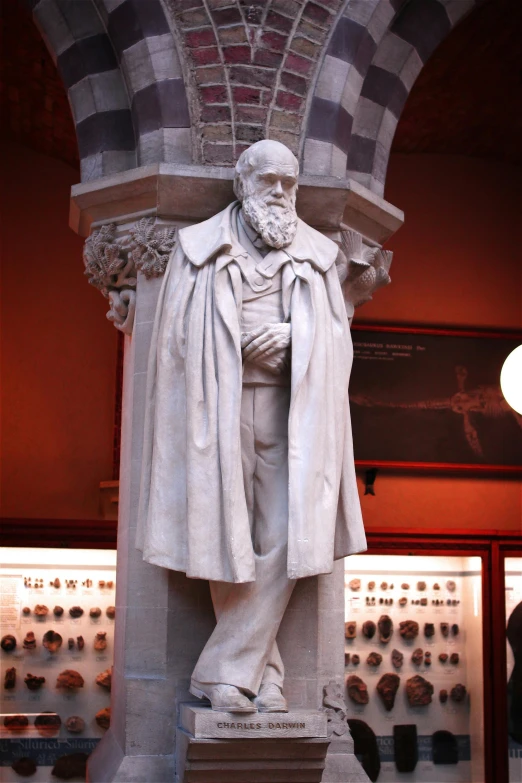 a statue of a man wearing a cape is in front of display cases