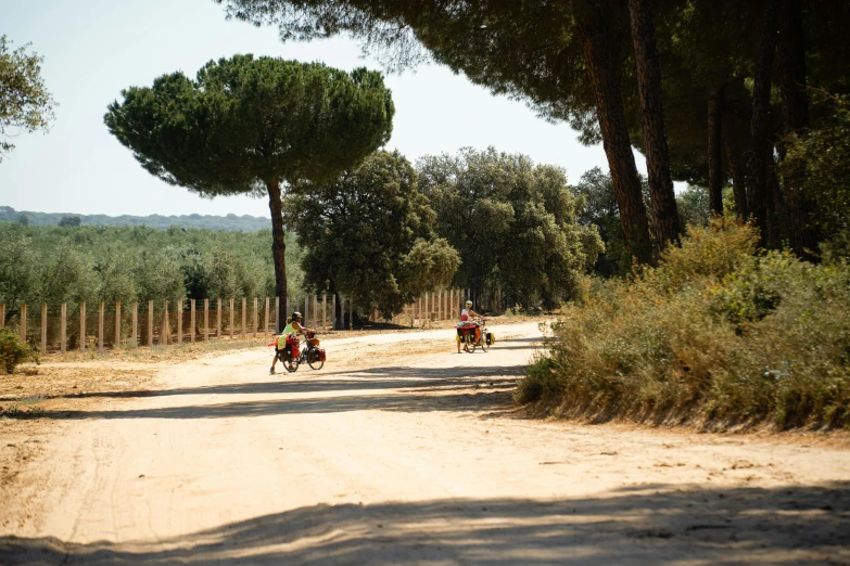 three horses riding down a dirt road with two men on them