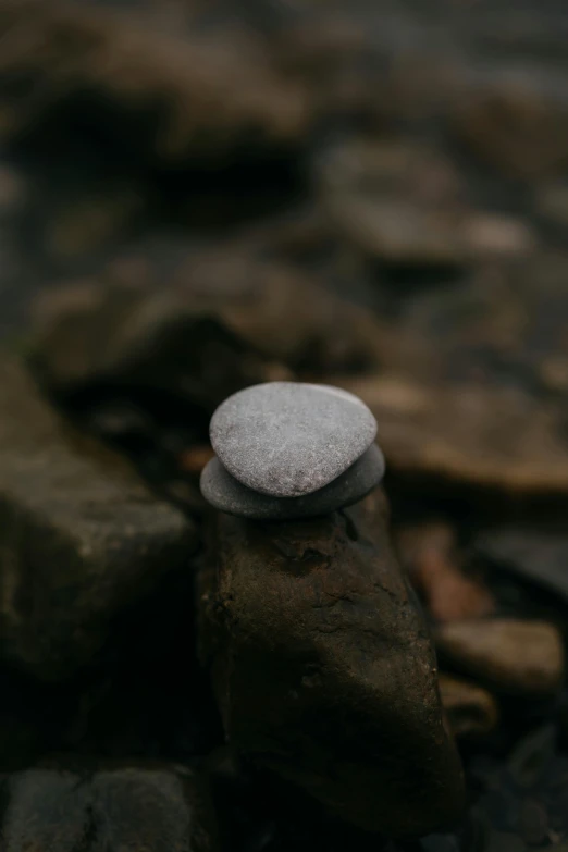 a rock sits on a log in a rocky area