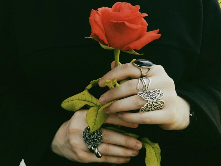 a person is holding a red rose and silver rings