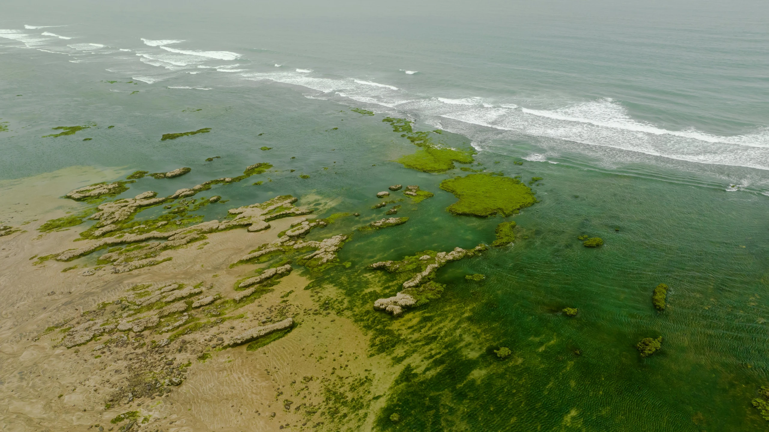 an aerial view of a beach on the coast