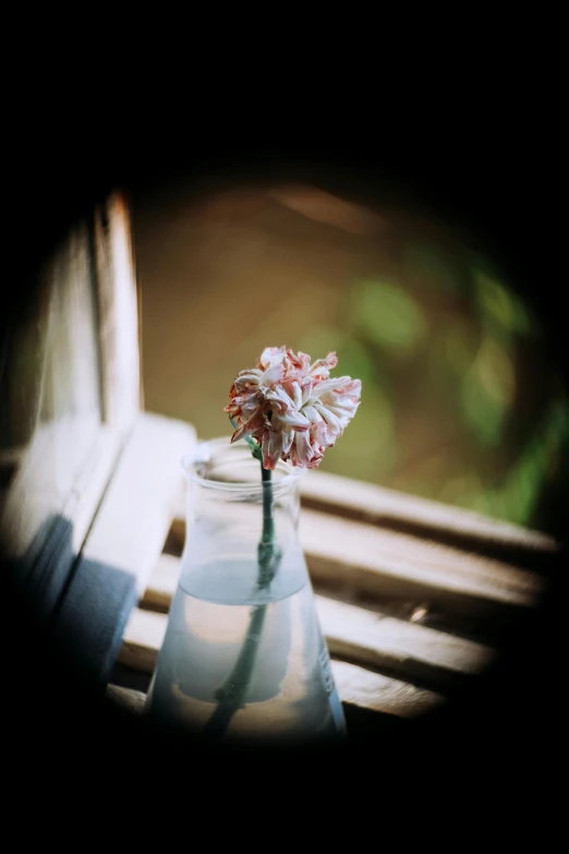 an image of a small vase with flowers in it