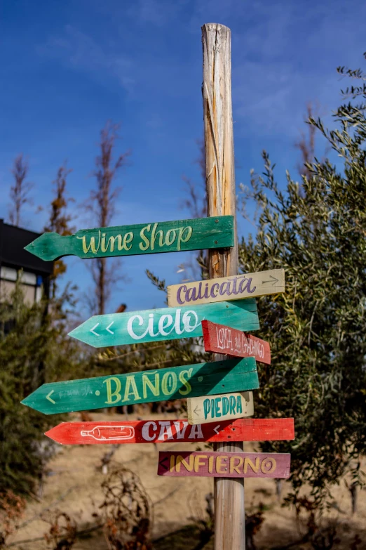 a pole with different kinds of signs on it