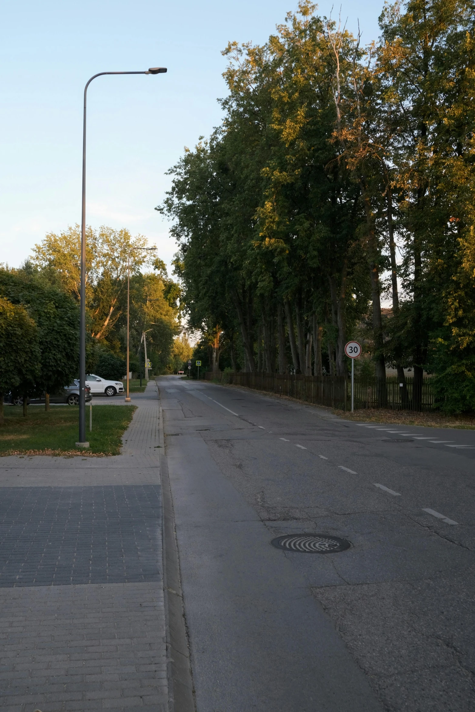 empty street with trees and cars on the side of the road