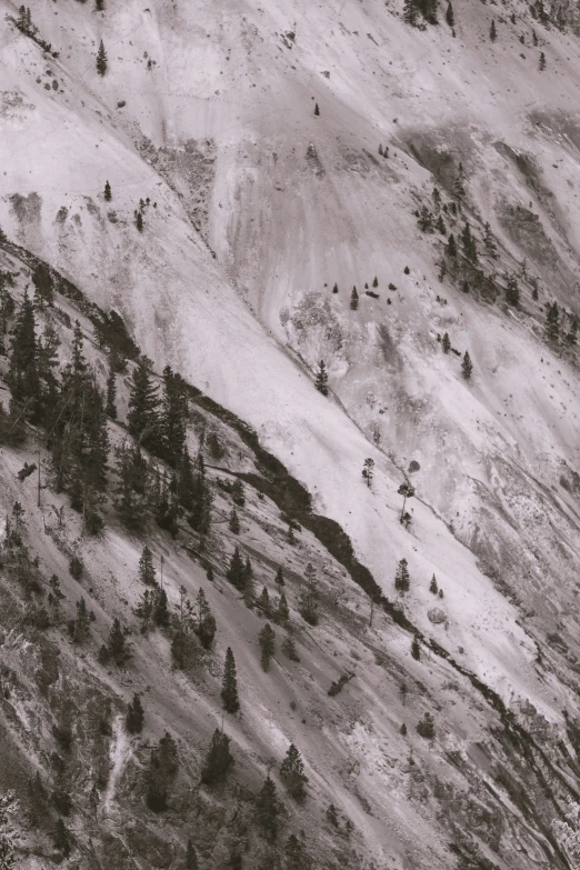 a mountain view with trees in the snow