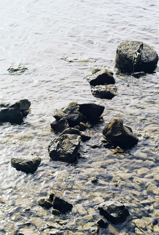 there is rocks in the water and some rocks in the water