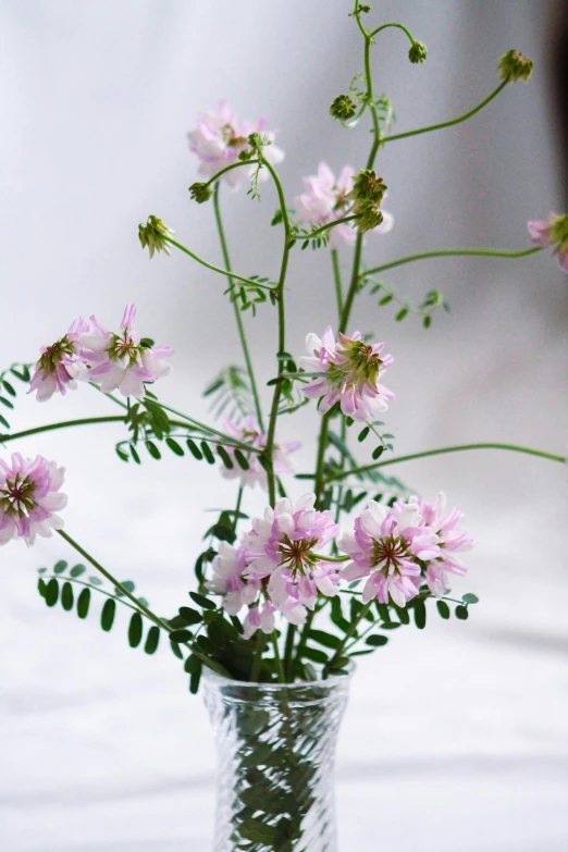 vase full of pink flowers with green leaves in water