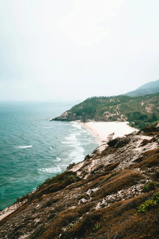 a sandy beach near an ocean and trees