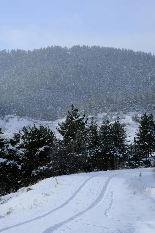 a snow covered field with tracks in the snow