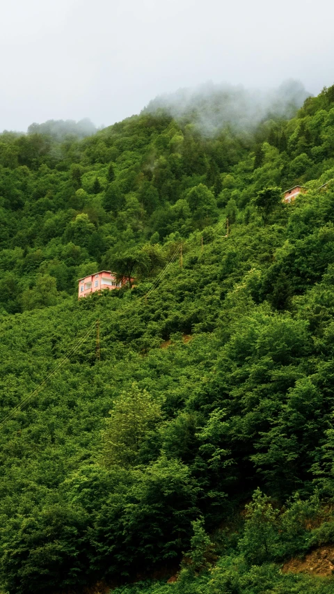 the green landscape has bushes and trees with houses perched on top