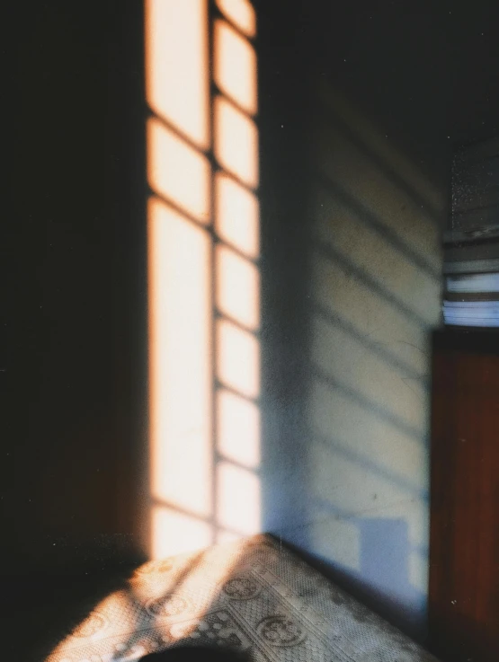 an orange on a bed in the sun with some windows