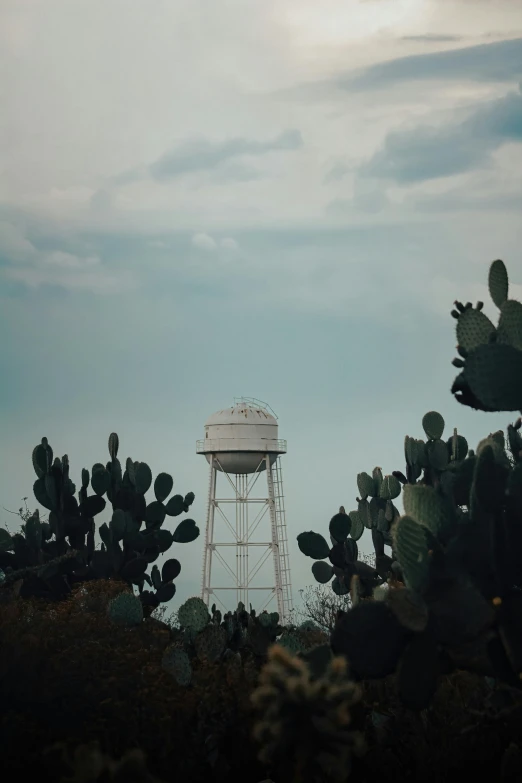 a white water tower in front of green cactus