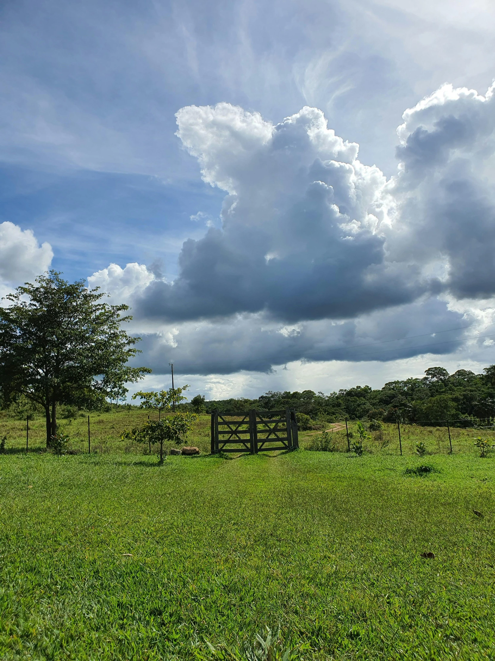 the sky is covered with many clouds and some trees