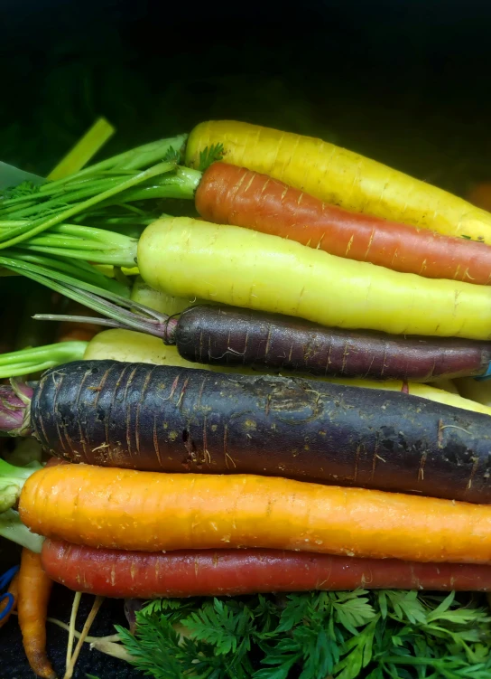 a group of root vegetables stacked together