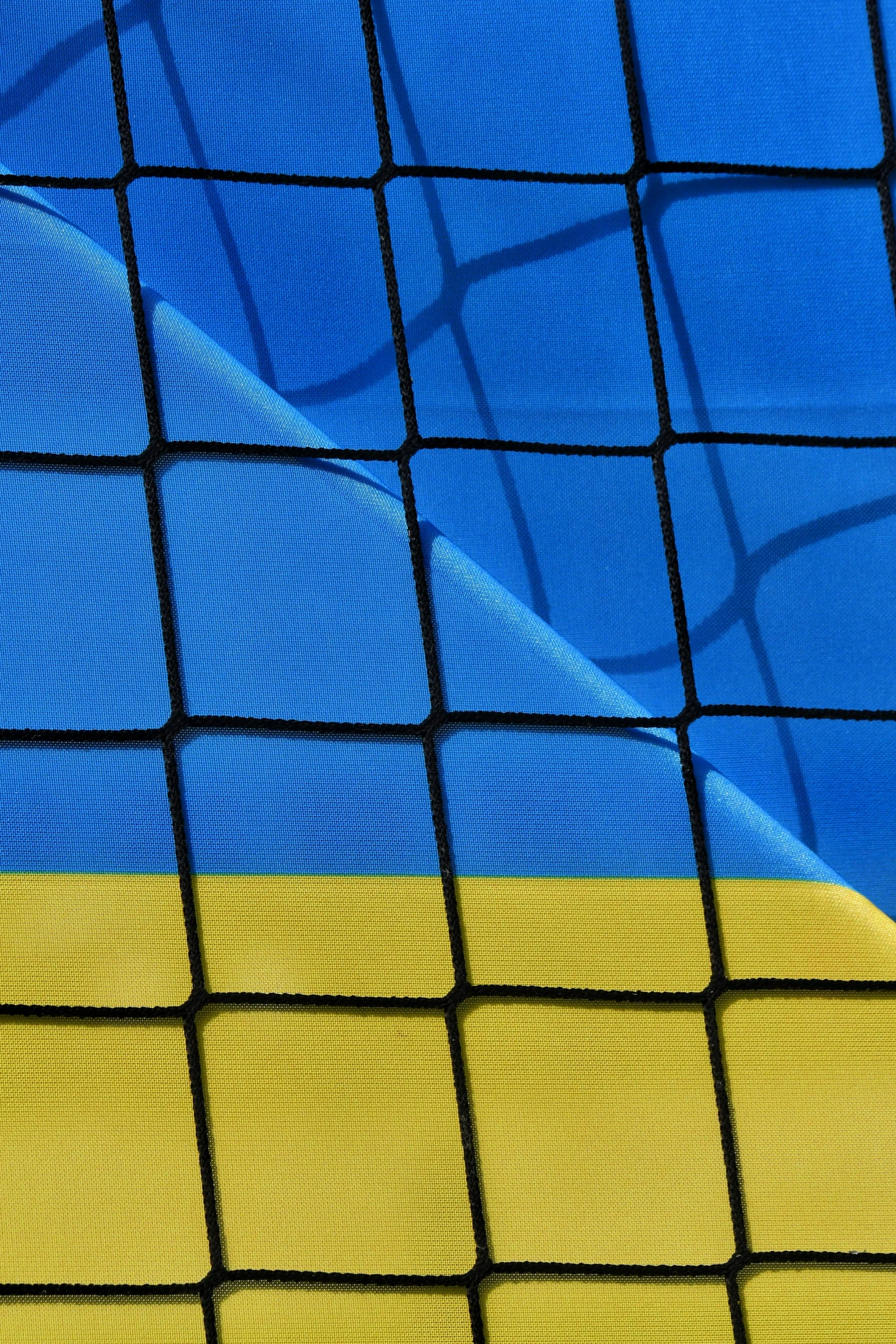 a po with blue and yellow lines through a net