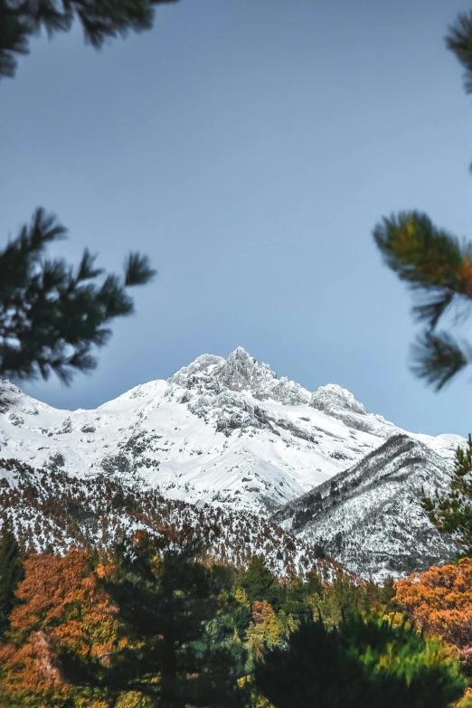 snow covered mountains are visible in the distance