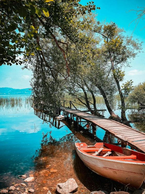 a boat sits on the bank next to a tree and water