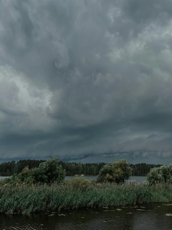 a river runs past a grassy shoreline beneath a cloudy sky