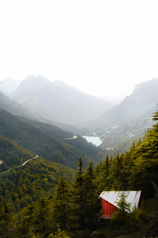 a cabin in a valley surrounded by tall trees