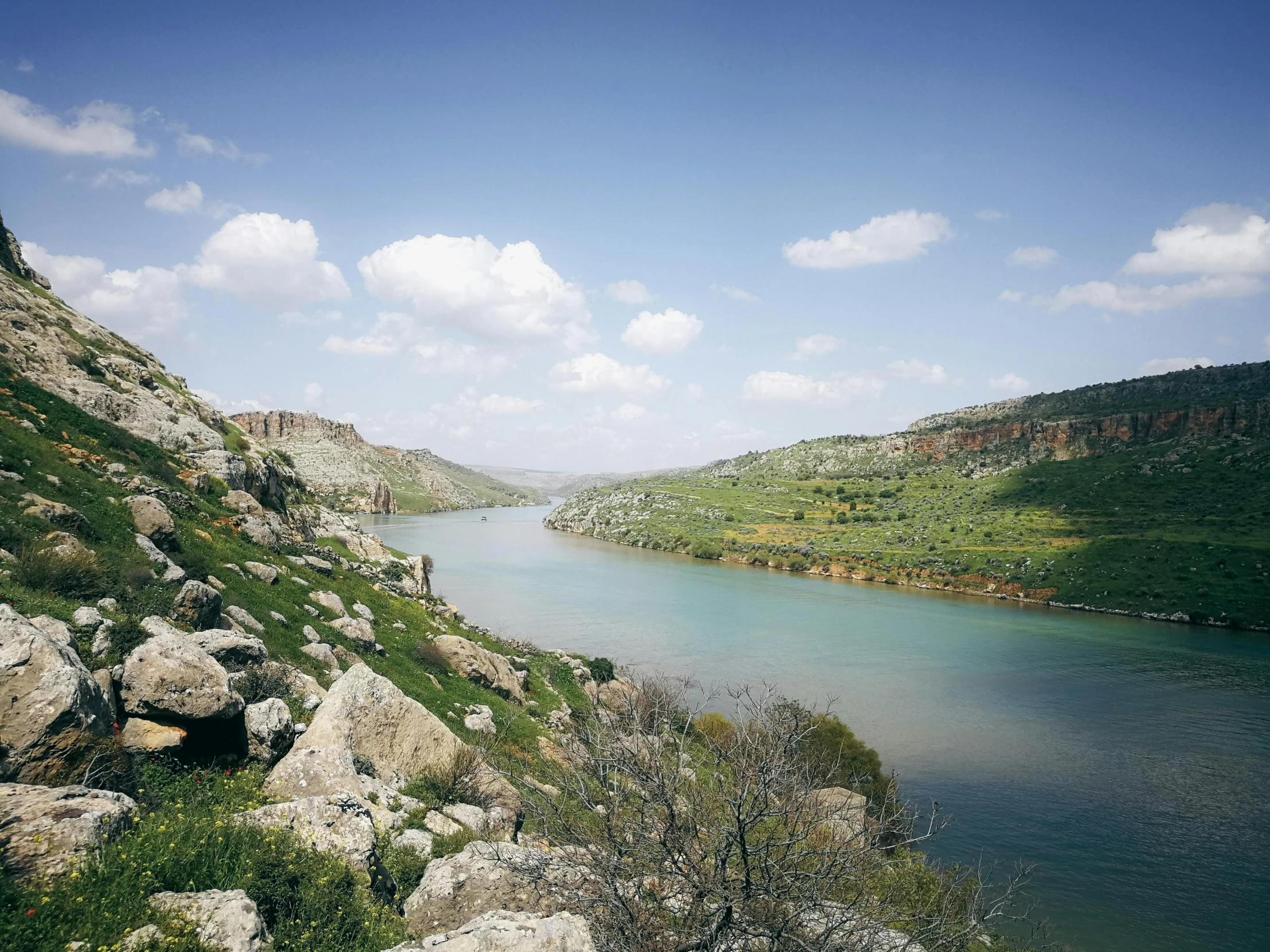 a river flowing through a lush green countryside under a blue sky