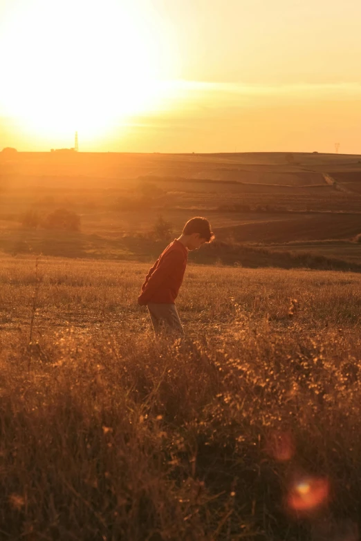 a small boy walking in a field as the sun sets