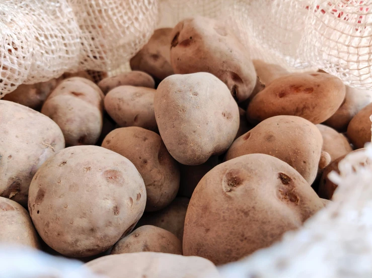 a group of potato heads, which have been peeled